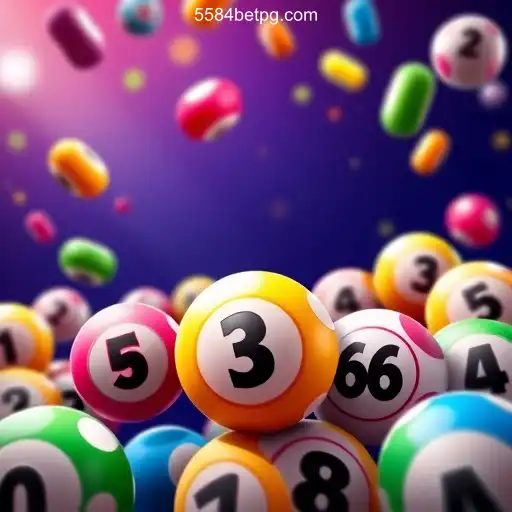 Exploring the Rise of Online Bingo with 5584bet A Plataforma de Apostas #1 do Brasil